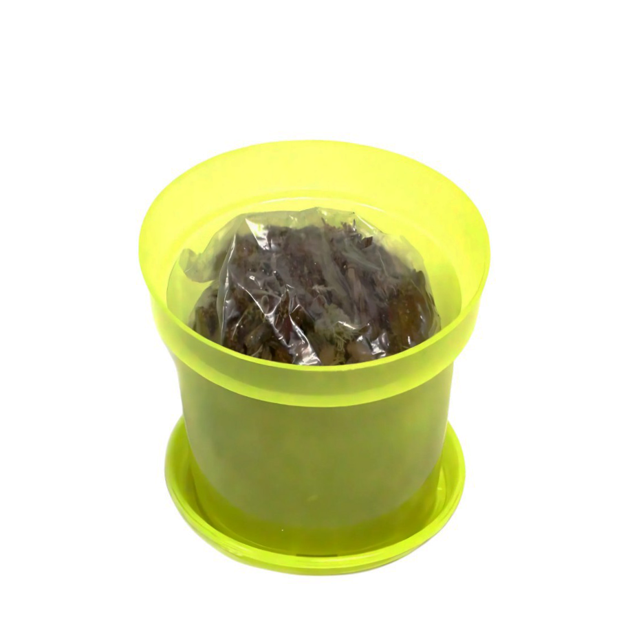 Горщики, опори та підставки для квітів