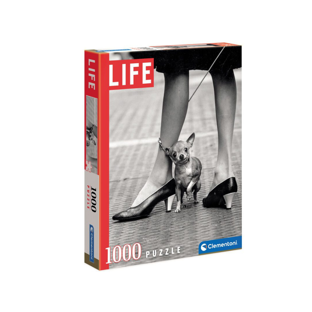 ფაზლები‎