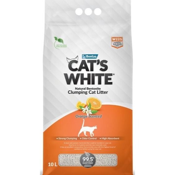 კატის ჰიგიენა