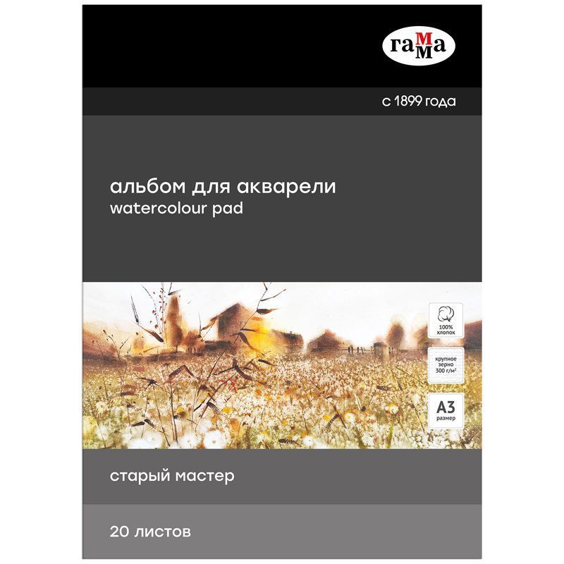 ალბომები და სკეჩბუქები