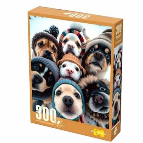 ფაზლები