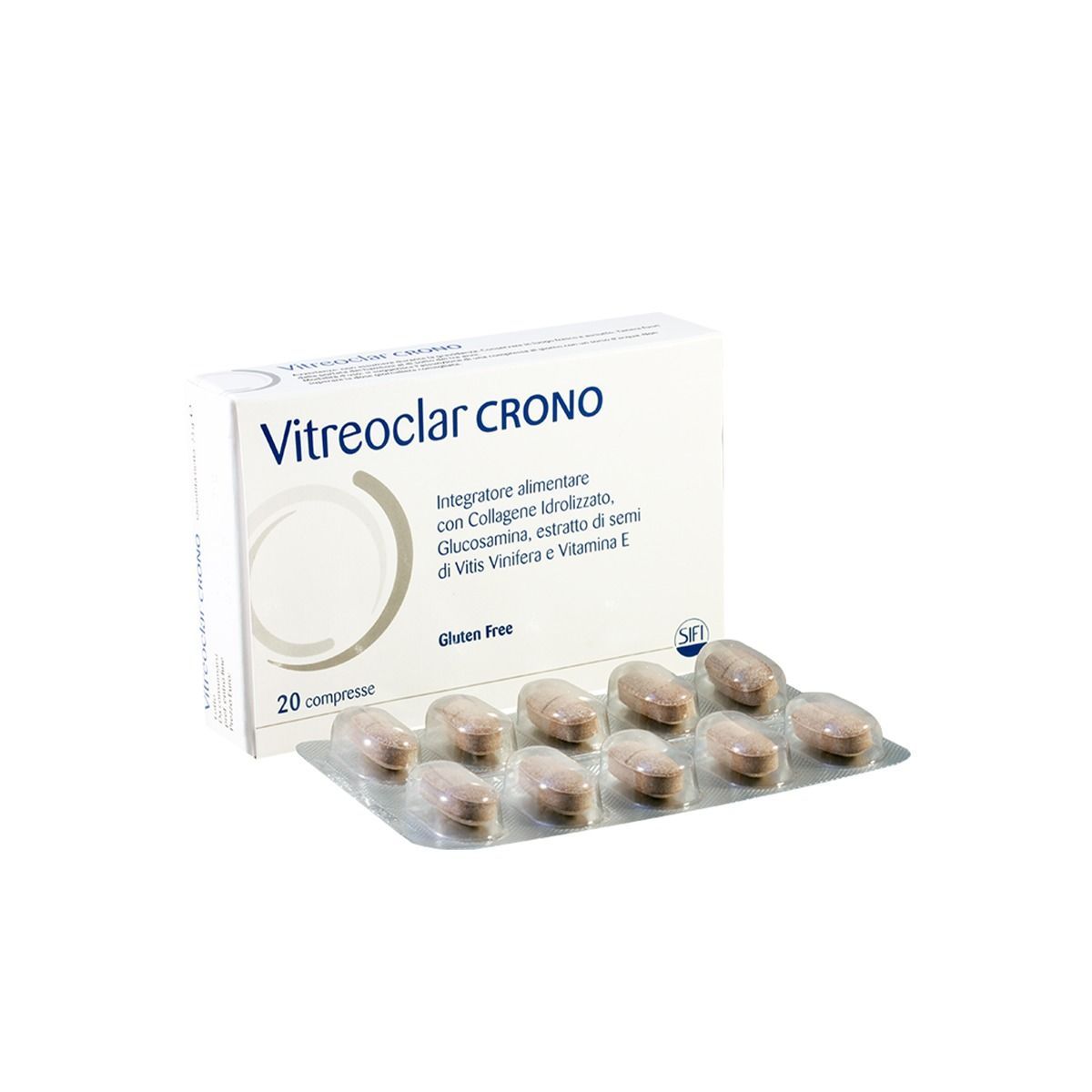 ძვალ-სახსროვანი სისტემა‎ ‎