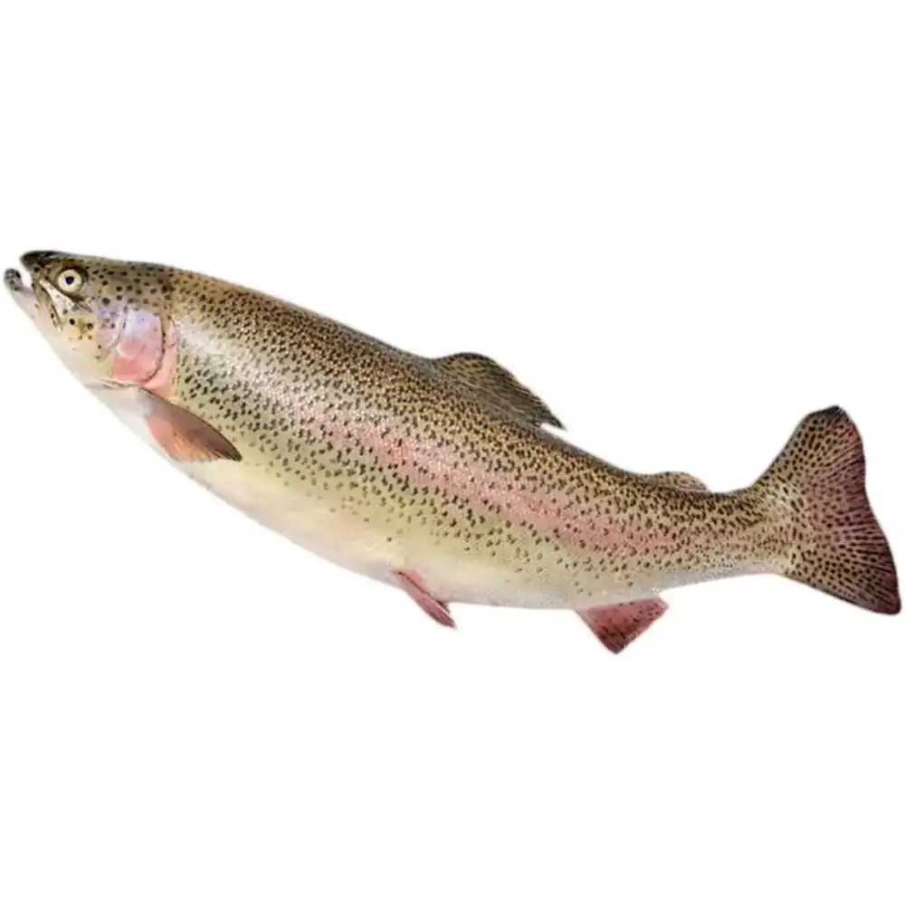 Риба та морепродуктиʼ