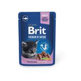 Корм вологий для котів 100г з білою рибою Brit Premium