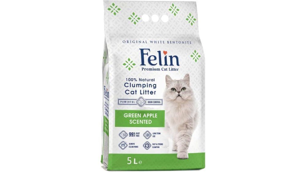 კატის ჰიგიენა