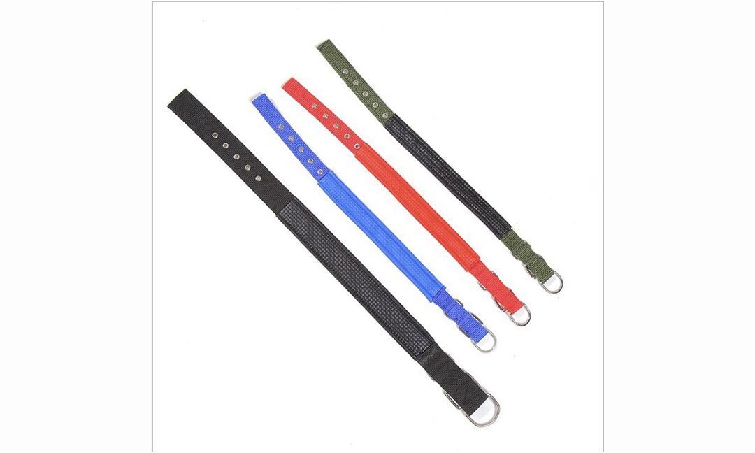 ძაღლის საყელოები და საბელები