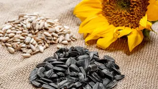 მზესუმზირა/sunflower 500 G