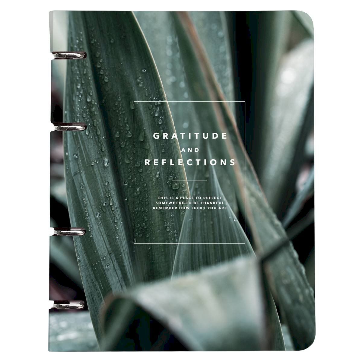 Тетради, дневники и обложки