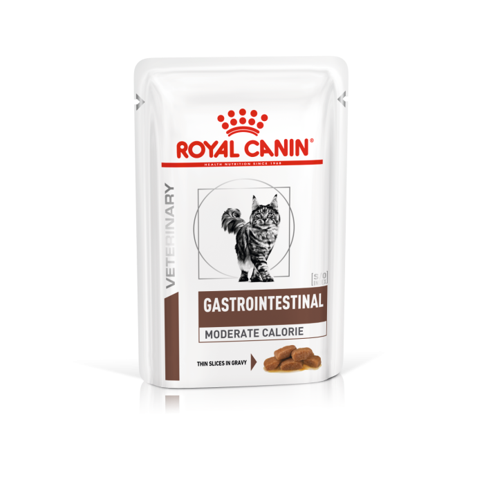 Лікувальний корм для собак