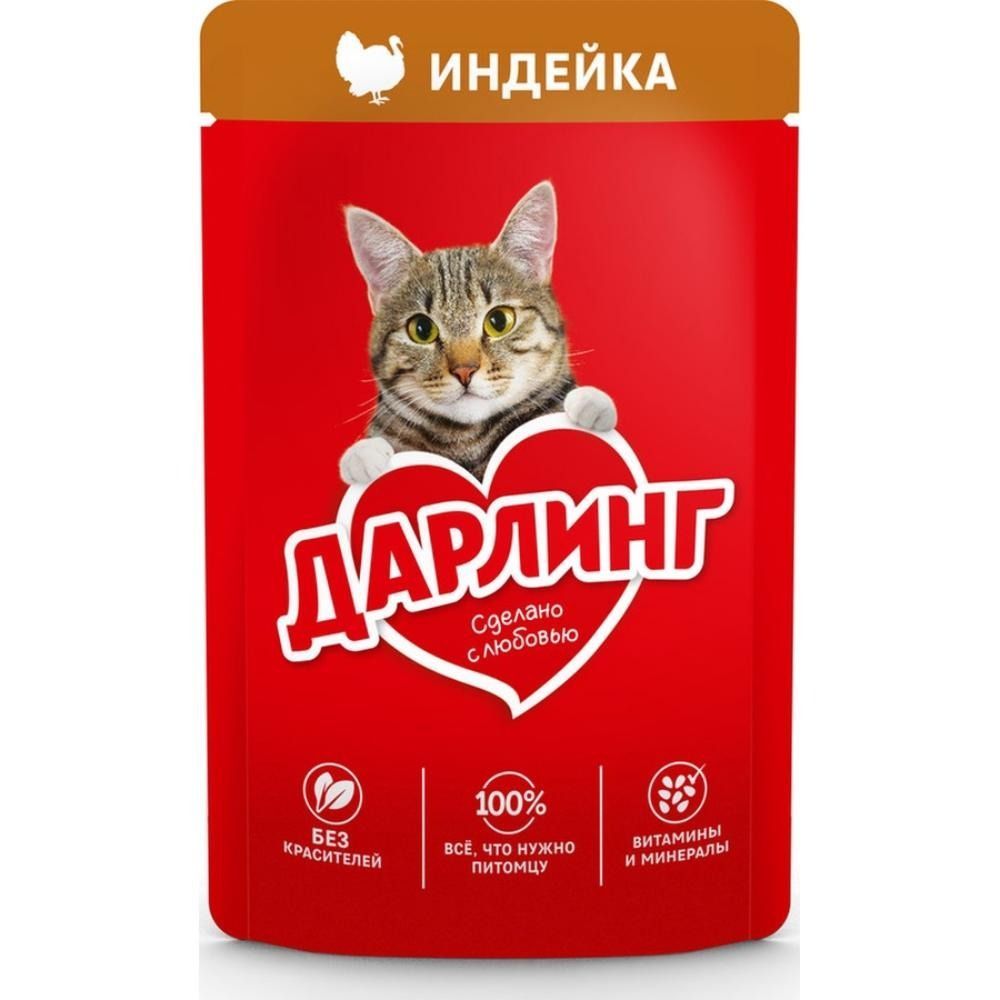 სველი საკვები კატის