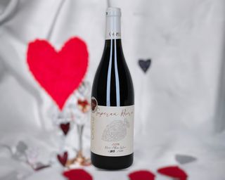 საფერავი რეზერვი - ჯიველი / Saperavi Reserve - Gewelli