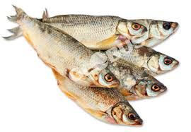 Рыба и морепродукты: