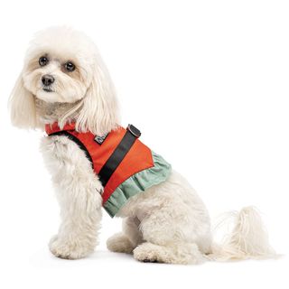 Шлея Monika ТМ Pet Fashion для собак XS