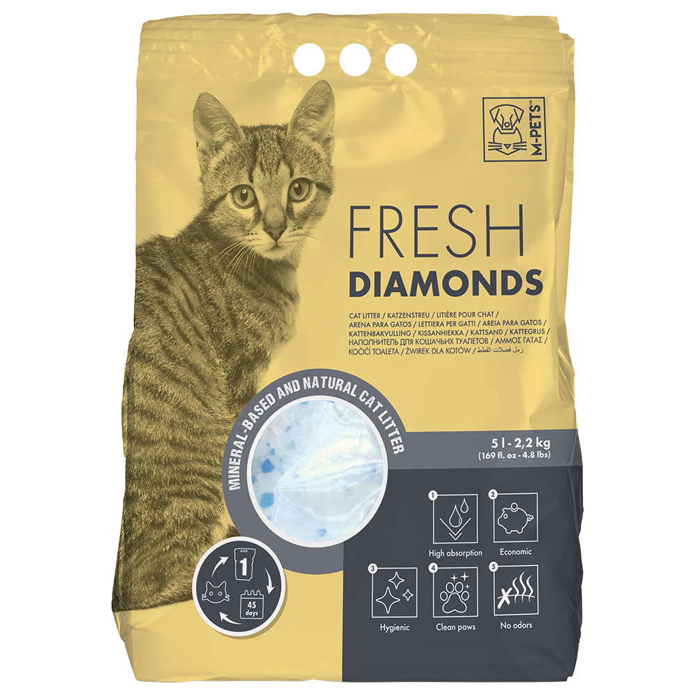 კატის ჰიგიენა