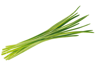 Erba Cipollina 30 g 1 €