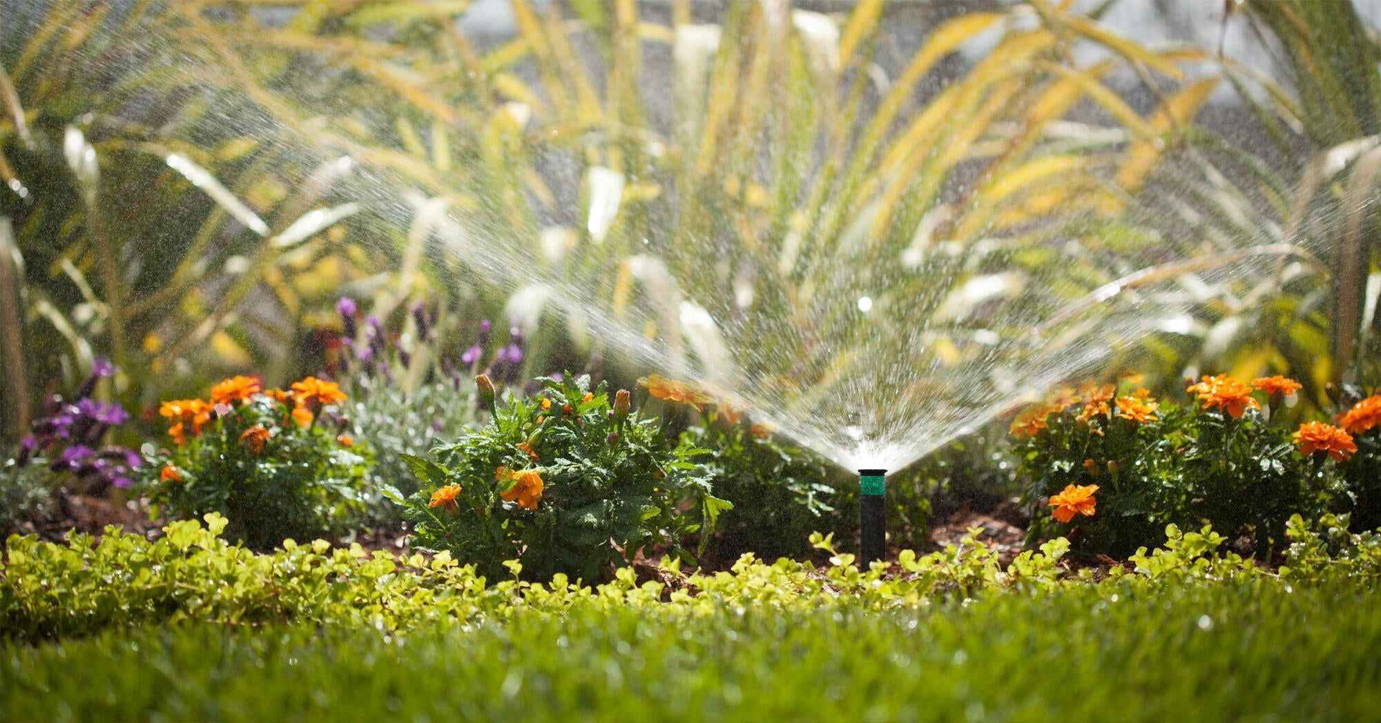 Irrigação Integrada