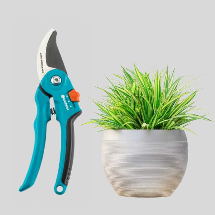 Jardin y Electrónicos