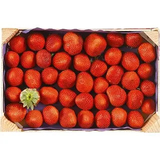 Fruteria Freson Caja 1 Kg
