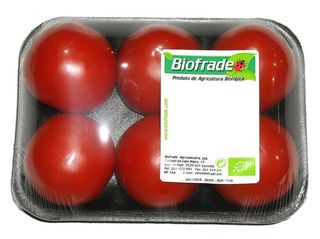 TOMATE REDONDO BIO 500G