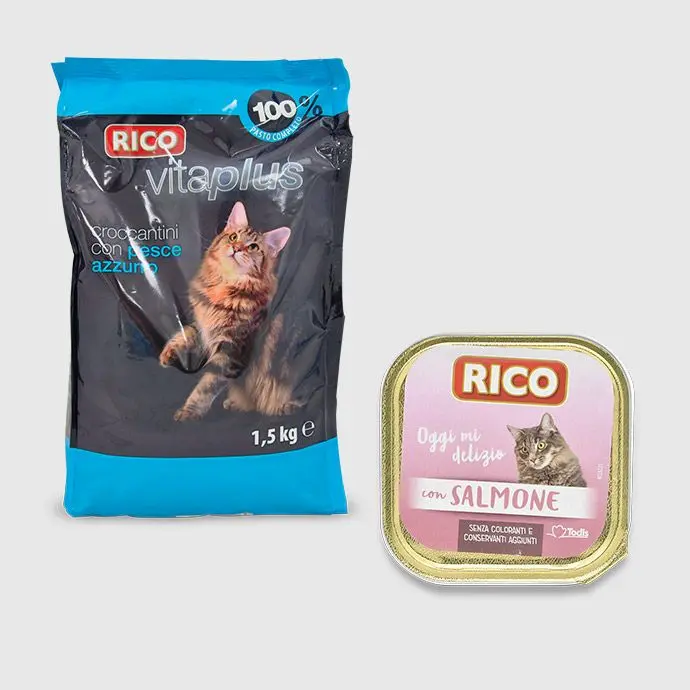 Cura gatto