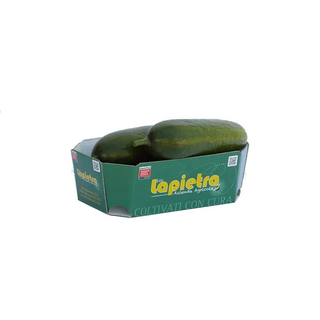 Cetriolo Liscio Barese Gr.500