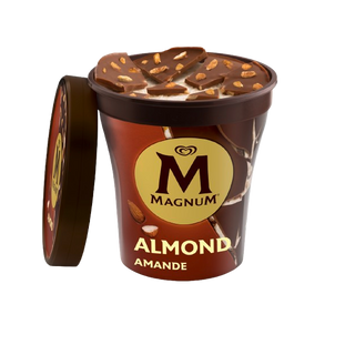 Gelado Baunilha e Amêndoa Magnum (emb. 440 ml)
