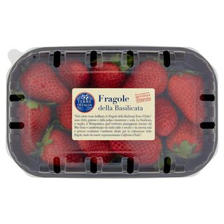 1536654-Fragole Della Basilic G300 Tdi