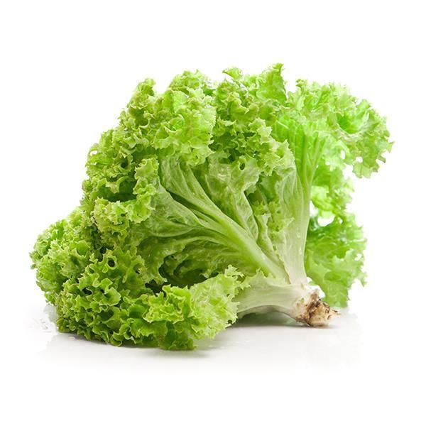 Salada, Preparados e Salteados