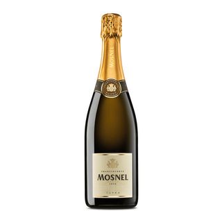 Franciacorta Brut Satèn Millesimato Mosnel 