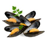 Mejjillón Pasteurizado Circulo 500 Gr.