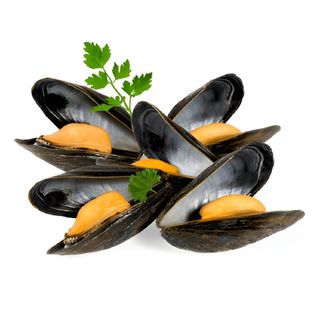 Mejjillón Pasteurizado Circulo 500 Gr.