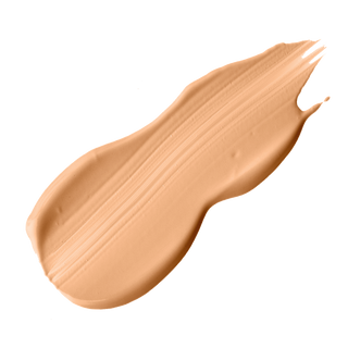 Skin Perfector – Flawless Foundation Skin Perfector N30