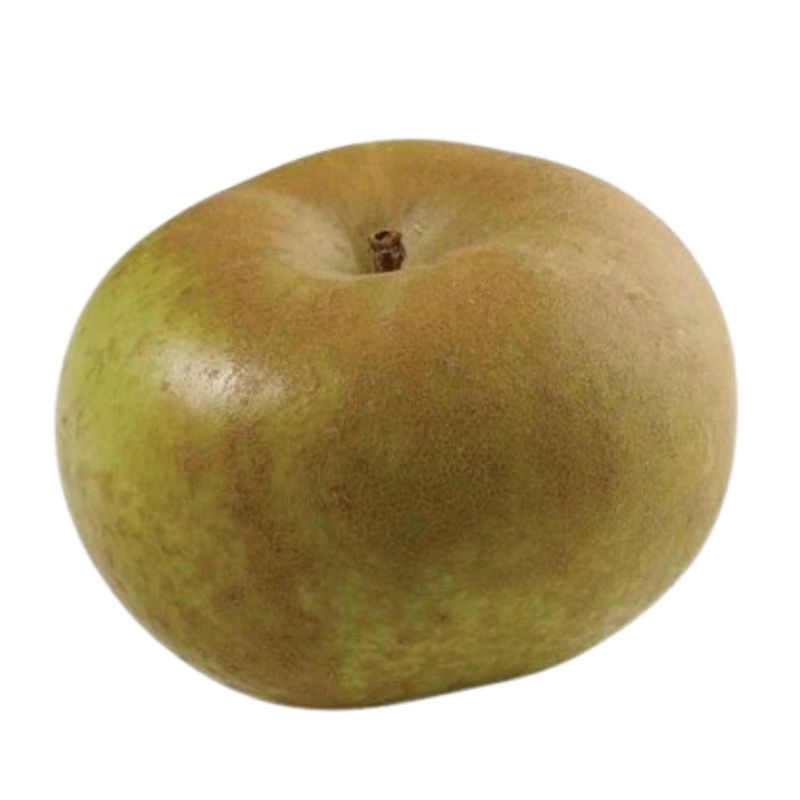 Maçã Reineta 1un