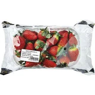 Fresa, Bandeja 500 Gr. (17640137)
