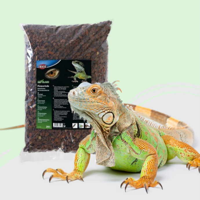 Cuidados y Accesorios Reptiles