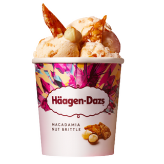 Häagen-Dazs Helado Macadamia Nut Brittle 460ml