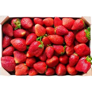Fresa, Caja 1 Kg. (14155139)