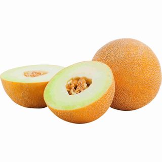 Meloa Galia Continente