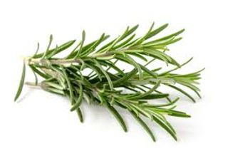 Rosmarino 30 g 1 € 