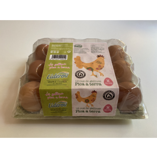 Huevos Picaterra M Liderou 12 Uds.