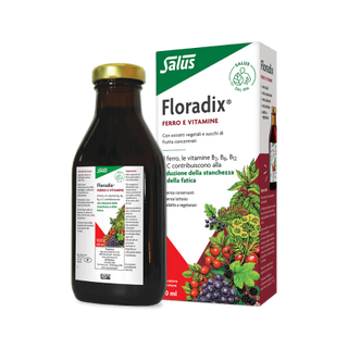 SALUS FLORADIX FERRO 250ML