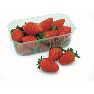 Freson, Tarrina 500G 500 G