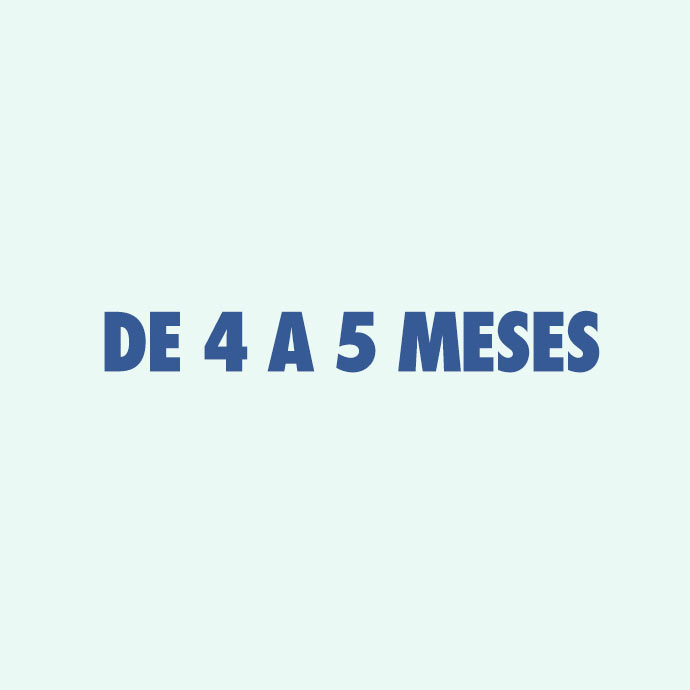 4 a 5 meses