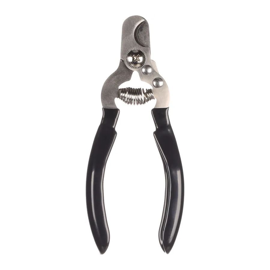 Saúde e Higiene Gato