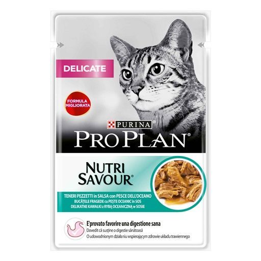 Alimentação Húmida Gato
