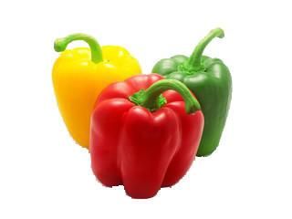 Peperone Tricolore
