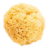 Esponja de Maquillaje Nº2 Terra Verda