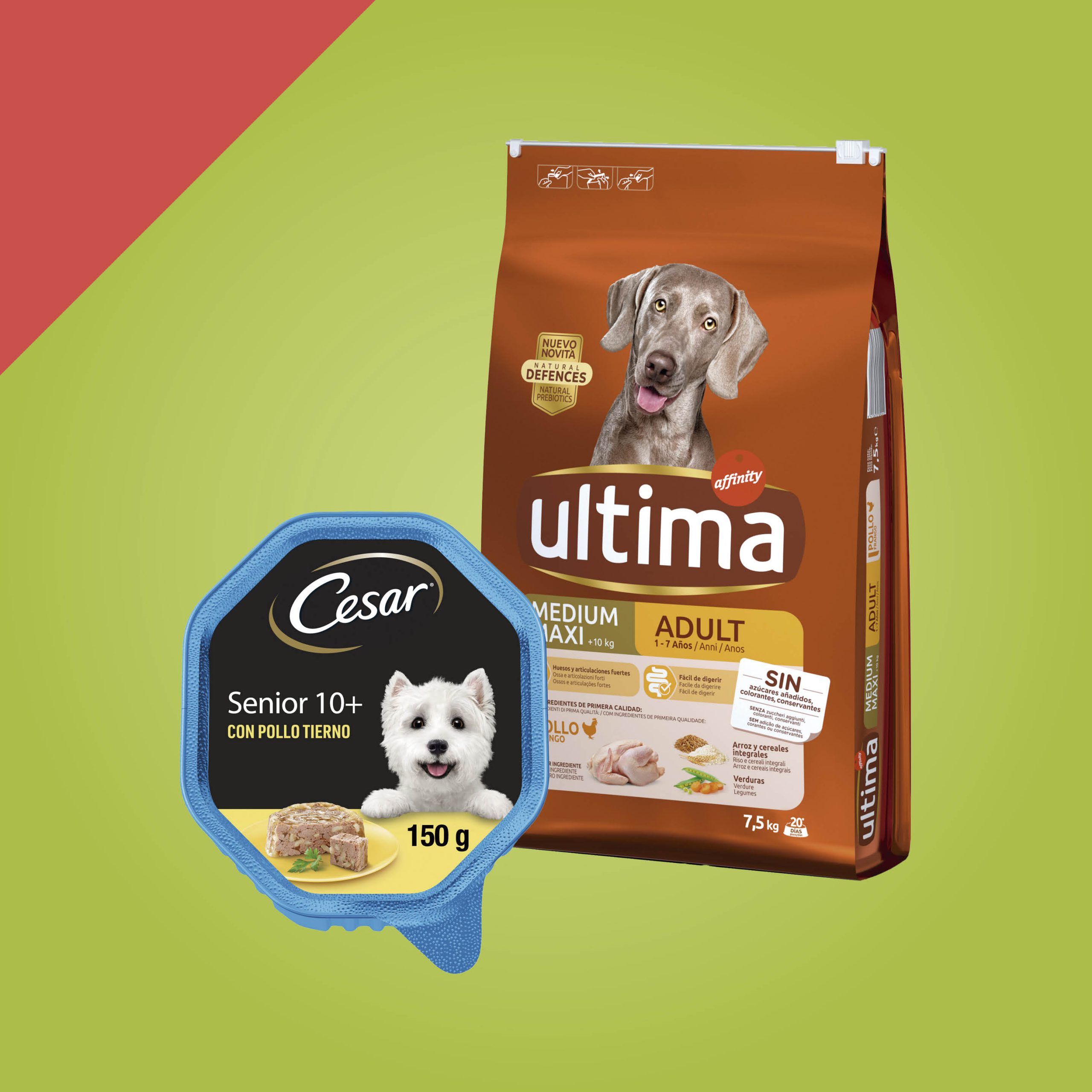 Alimentos y Artículos para Perros