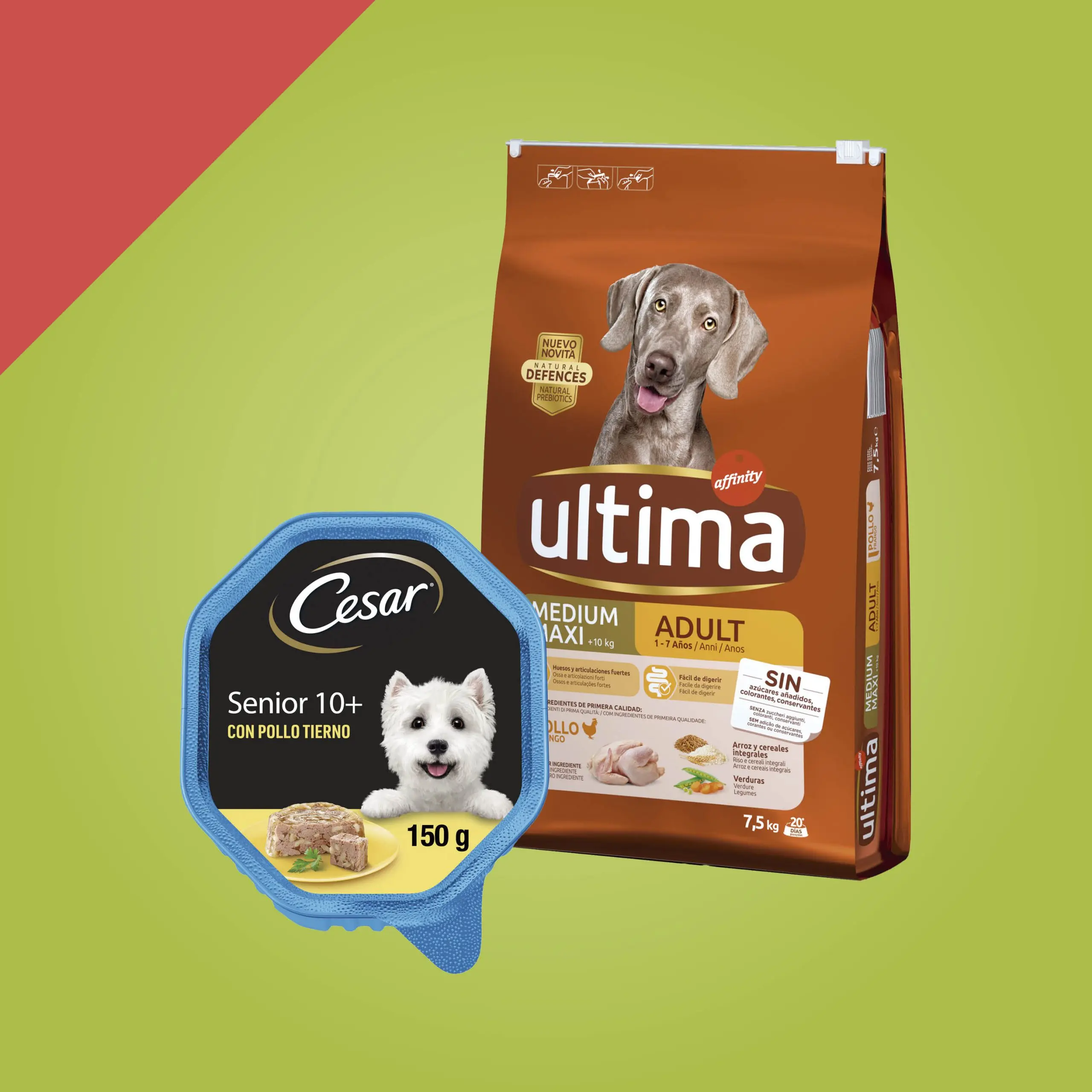 Para Perros
