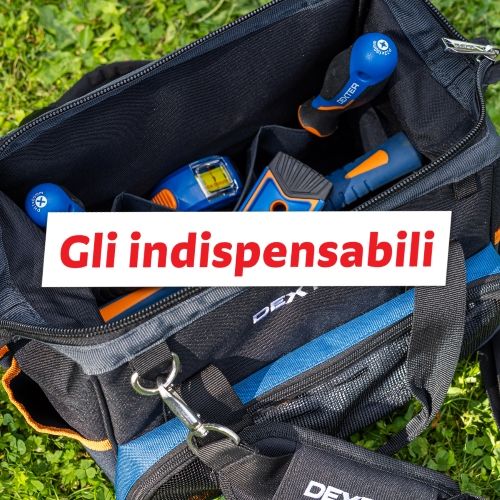 Gli Indispensabili.
